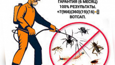 Дез-центр Москва дезинфекция уничтожения насекомых работаем 24/7 с выездом области!  - фотография №1